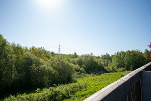 Winder Avenue Halfway